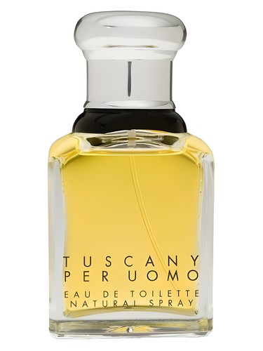 Tuscany Per Uomo by Aramis