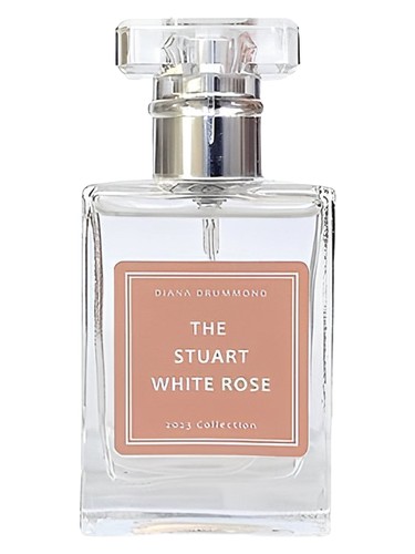 The Stuart White Rose by Diana Drummond