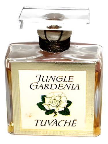 Jungle Gardenia by Tuvaché