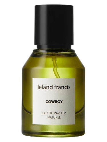 Cowboy by Leland Francis