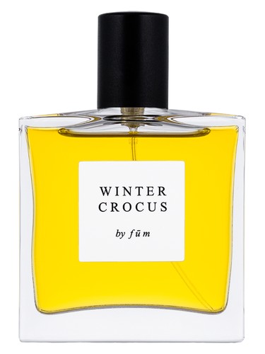 Winter crocus by fūm