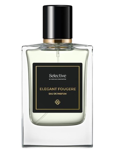 Elegant Fougère by Parfums Constantine