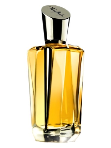 Mirror Mirror Collection - A Travers Le Miroir by Mugler