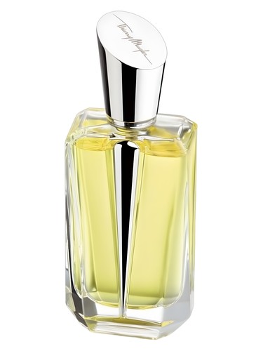 Mirror Mirror Collection - Miroir des Secrets by Mugler