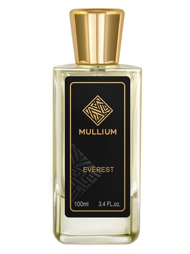 everest by Mullium