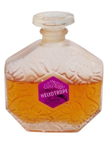 Heliotrope by Mury Paris