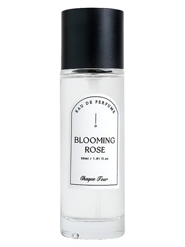 Blooming Rose by Chaque Jour