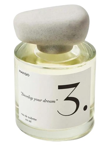 3. Develop Your Dream by Mango