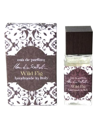 Wild Fig by Claudia Scattolini