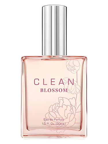 Blossom by Clean