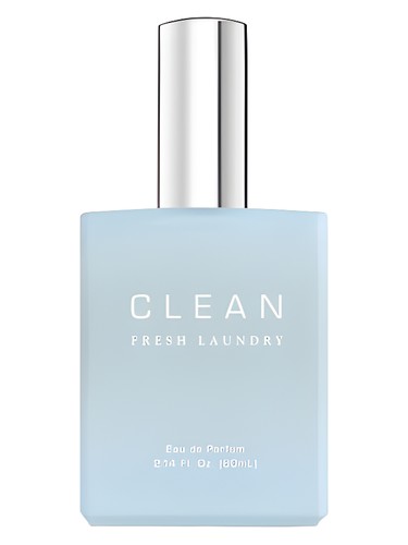 Fresh Laundry by Clean