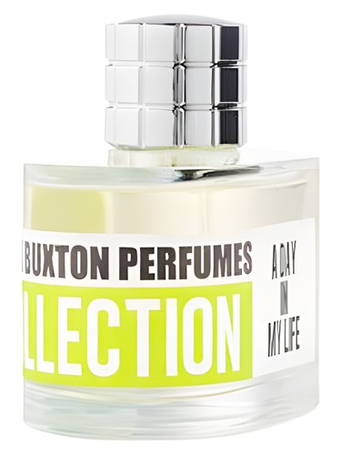 A Day in My Life by Mark Buxton