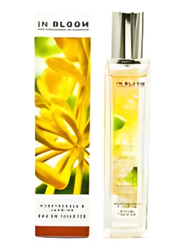 Jasmine and Honeysuckle by Marks & Spencer