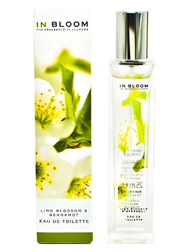 Lime Blossom and Bergamot by Marks & Spencer