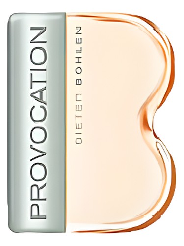Provocation for Women by Dieter Bohlen