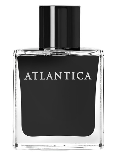 You're The Reason by Dilís Parfum