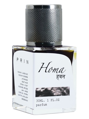 Homa (हवन) by Prin