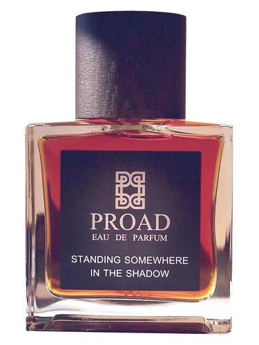 Standing Somewhere In The Shadow by Proad