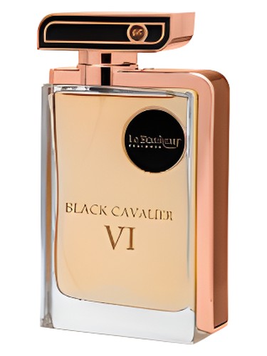 Black Cavalier VI by Le Bonheur Perfumes