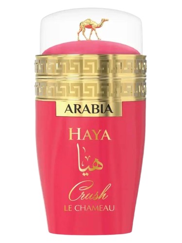 Arabia Haya Crush by Le Chameau