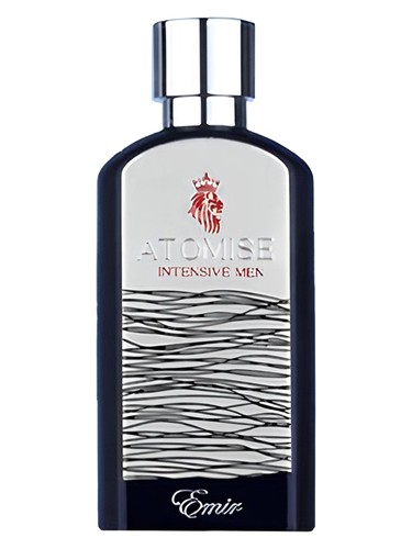 ATOMISE INTENSIVE MEN by PARIS CORNER