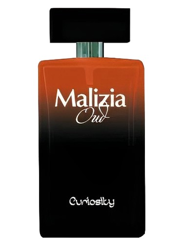 Oud Curiosity by Malizia