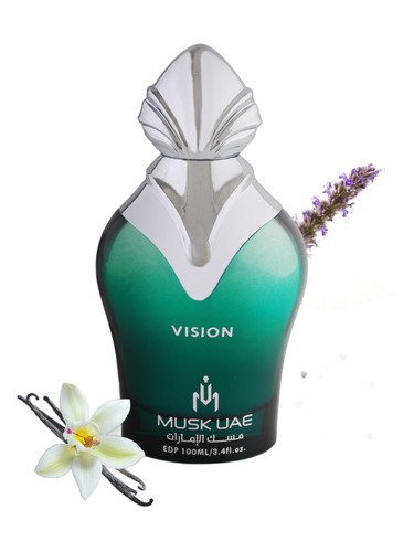 Vision by Musk