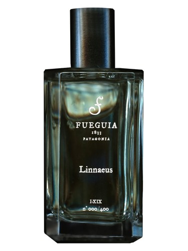 Linnaeus by Fueguia 1833