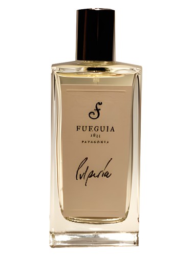 Pulpería by Fueguia 1833