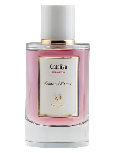 Cataliya by Maïssa Parfums