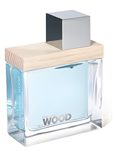 She Wood Crystal Creek Wood by DSQUARED²