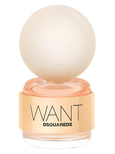 Want by DSQUARED²