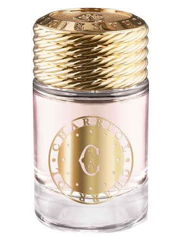 Infinite Celtic For Women by Charriol