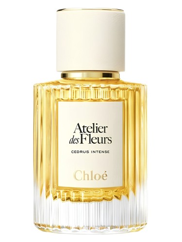Cedrus Intense by Chloé