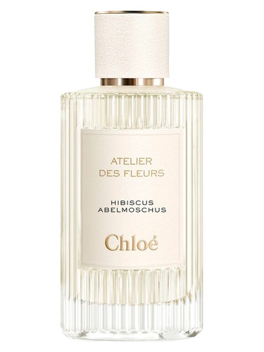 Hibiscus Abelmoschus by Chloé