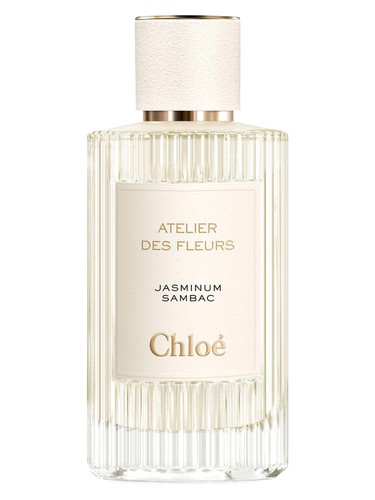 Jasminum Sambac by Chloé