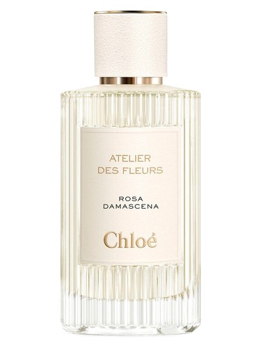Rosa Damascena by Chloé
