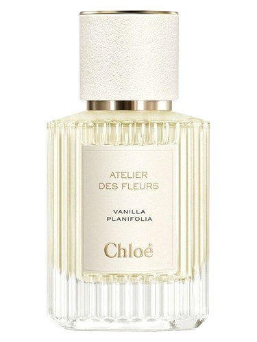 Vanilla Planifolia by Chloé