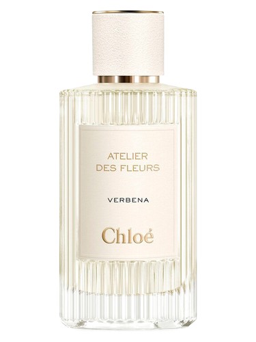 Verbena by Chloé