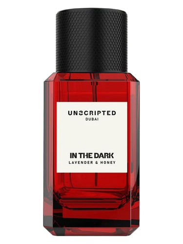 In The Dark by Unscripted