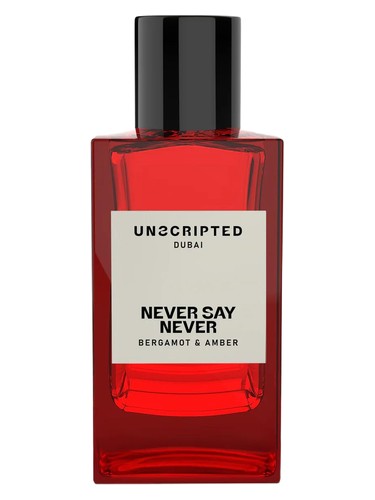 Never Say Never by Unscripted