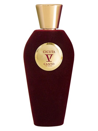 Cicuta by V Canto
