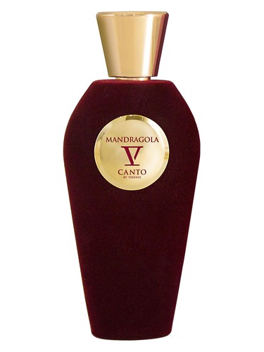 Mandragola by V Canto