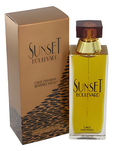 Sunset Boulevard by Gale Hayman