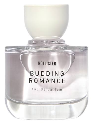 Budding Romance by Hollister