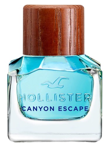 Canyon Escape Man by Hollister