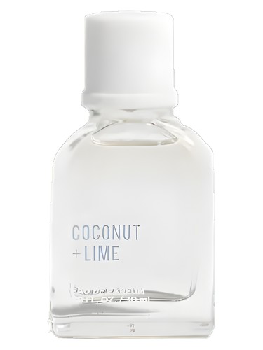 Coconut + Lime by Hollister