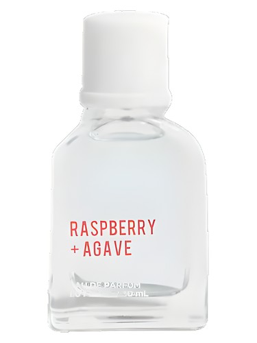 Raspberry + Agave by Hollister