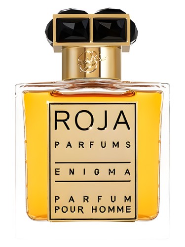 Enigma Pour Homme by Roja Dove