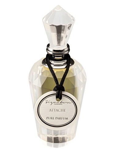 Attache by Signature Fragrances